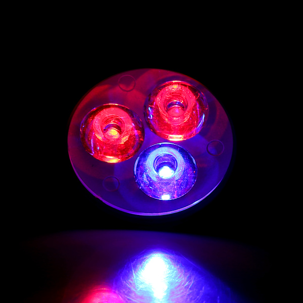 220V Musta 3 kpl LED Kasvien Kasvatus Sisätilojen Säädettävä Kasvuvalo Pihdeillä (Musta 3LED)