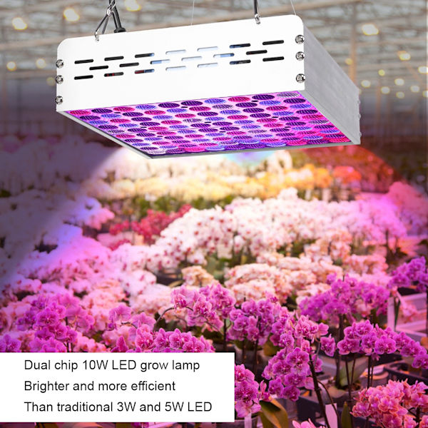 1000W Dobbelt Chip LED Vækstlampe Fuld Spektrum Indendørs Planter Vækstbelysning Fyldlys 110-240VUKPlug