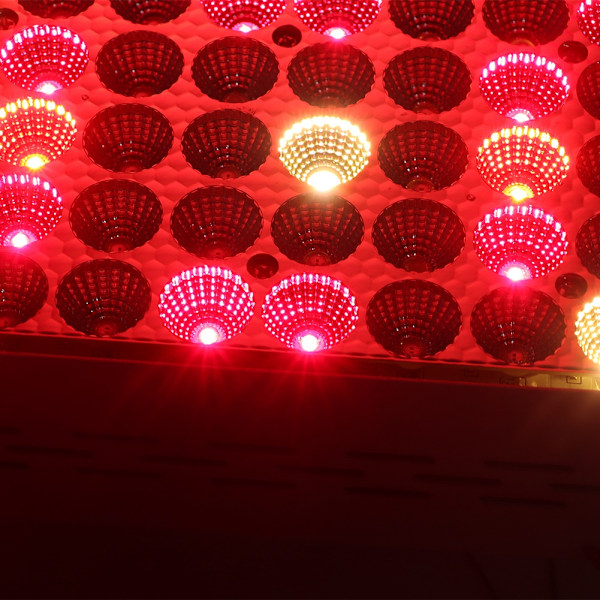 1000W Dual Chip LED Grow Lamp Full Spectrum Indoor Plants Growing Lighting Fill Light 110-240VUKPlug