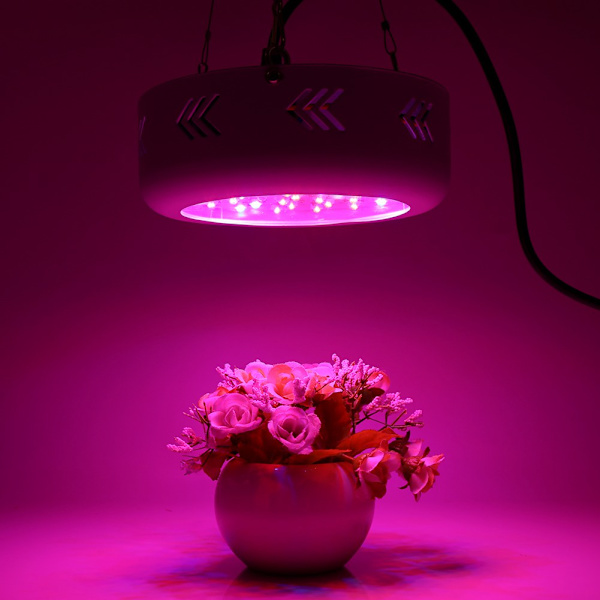 300W Fuld Spektrum 30 LED UFO Vækstlys til Indendørs Planter Veg Frugt Blomstring Vækst (EU Standard)