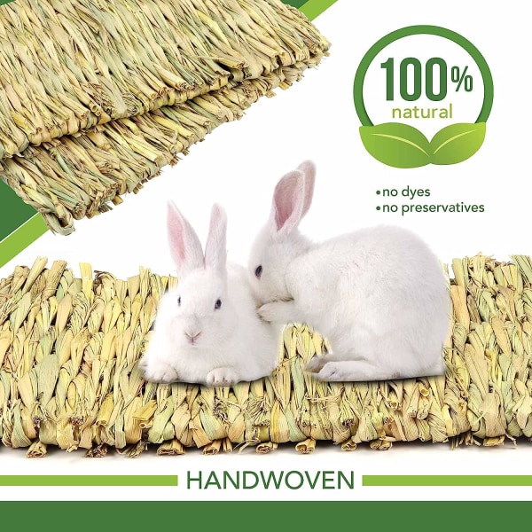 Bunny Chew Lelut hampaille, Molar Rabbit Toys Natural Organic