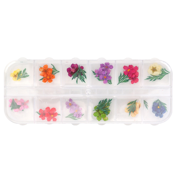 12 Färger Nagel Manikyr Naturlig Torr Torkad Blomma Dekoration för UV Gel Akryl Nagelkonst Tips Dekoration
