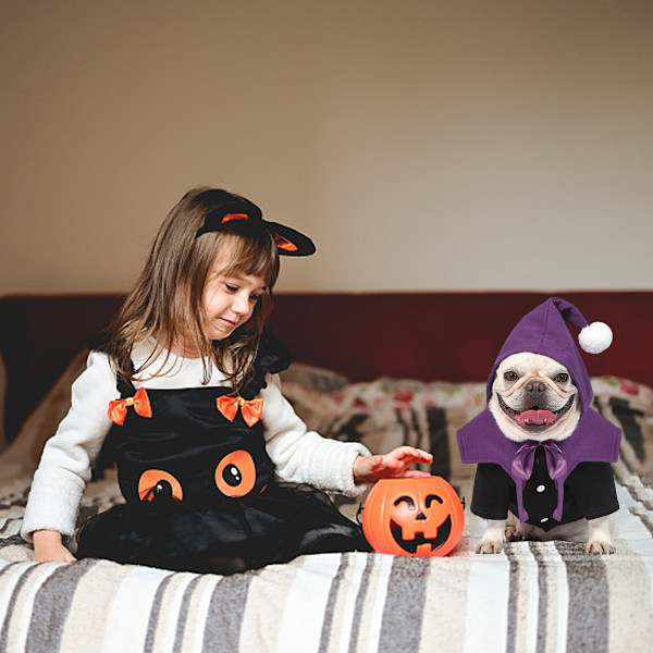 Halloween-koiranpuku, pentuepuku, koiran juhlapuku, kaksiosainen lemmikkiliivi