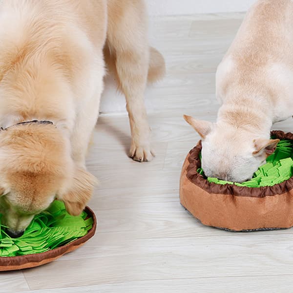 Snusemåtte til Hunde, Stresslindrende Duftpuslespil til Katte og Små Dyr, Interaktivt Snuse- og Fodermåtte til Kæledyr med Mentale Stimuleringsfordele