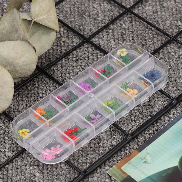 12 Färger Nagel Manikyr Naturlig Torr Torkad Blomma Dekoration för UV Gel Akryl Nagelkonst Tips Dekoration