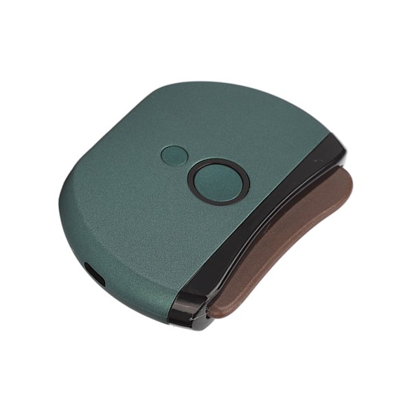 Elektrisk Skrabbræt Grøn Varmt Kompres Stennål Elektrisk Gua Sha Massager til Ansigtspleje Grøn