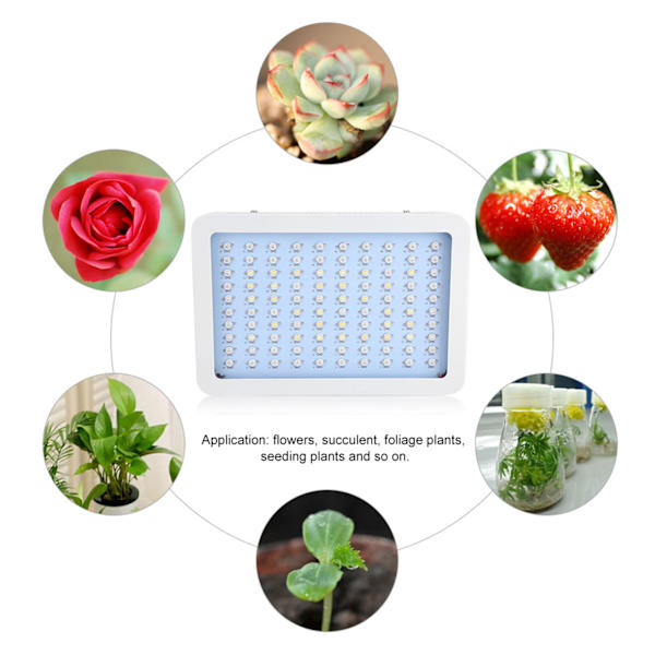 AC220-240V Täyden spektrin 100 LED-kasvivalo Hydroponics Vegs Kukinta Paneelilamppu
