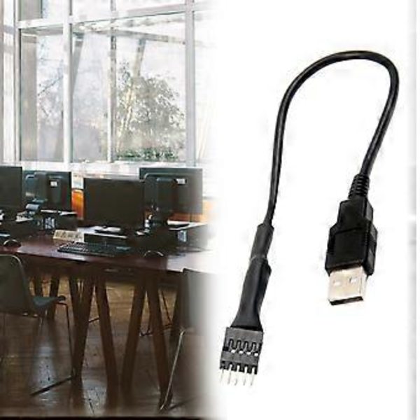 20cm 9-Pin Hane till Extern USB A Hane PC Moderkort Intern Dataförlängningskabel