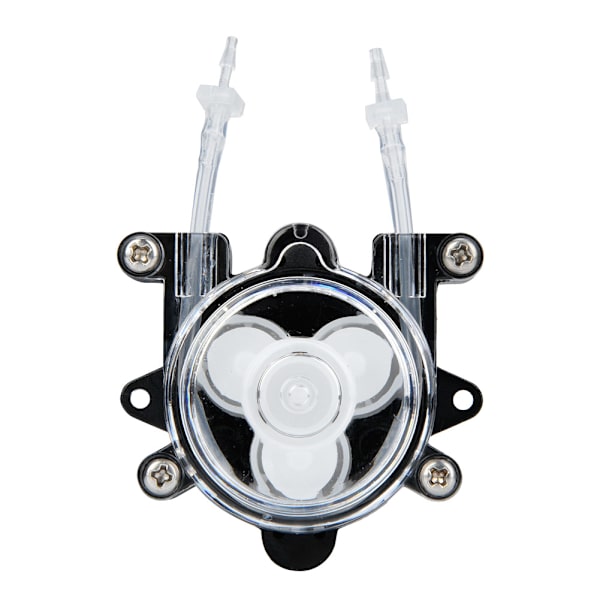 Mini Peristaltisk Pump Hög Kvalitet för Laboratorium Bioteknik G528 DC12V(Typ A)