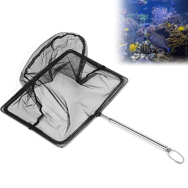 Udtrækkelig Fiskenet af Rustfrit Stål Teleskopisk Landing Net til Tank Søer (8' (20*15* (14-51) cm))