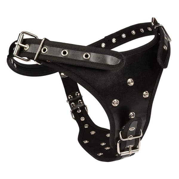 Strap On Realistisk Dildo Lædersele Strap On Dildo Lesbisk Strap-on Dildoer