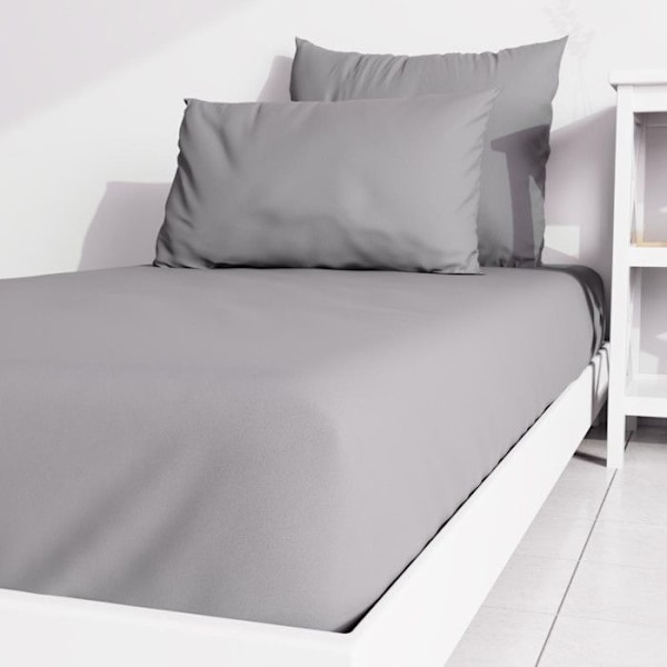 Vanligt prydnadsplåt 90x190 cm ZZZ grå Grå