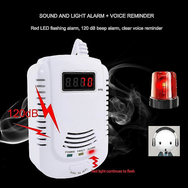 Läcksökare Analysator Kolmonoxid Sensor LCD Digital Display Naturlig 2 i 1 Larm System,EU White