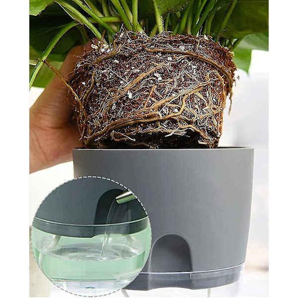 Kryddkruka Kökset Fönsterbräda Självbevattnande Set Om 3 Kryddträdgård För Köket, 18,2x 11x 15,3 Cm, För Färska Köksörter, Grå Cy (FMY)