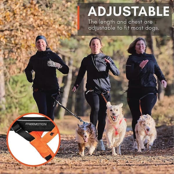 Freemotion Harness 5.0 dragsele för hund, justerbar, orange/svart