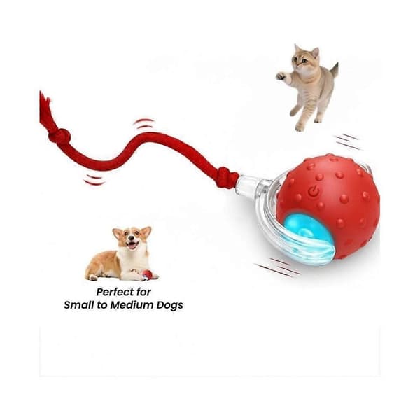 Lille Fetch Hundelegetøj, Tinyfetch Interaktive Hunde- og Kattelegetøjsbolde, Hurtigt Bevægende Bold Blue