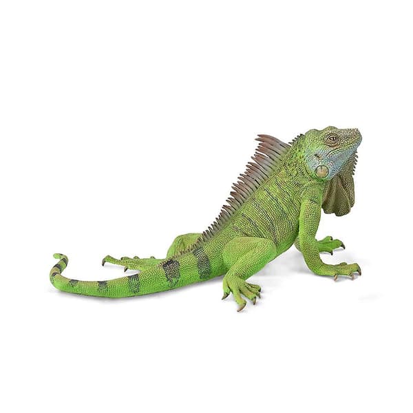 CollectA Iguana (FMY)