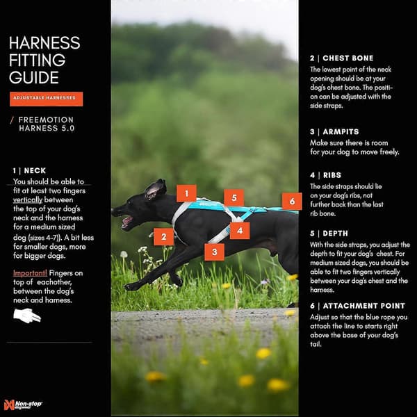 Freemotion Harness 5.0 dragsele för hund, justerbar, orange/svart