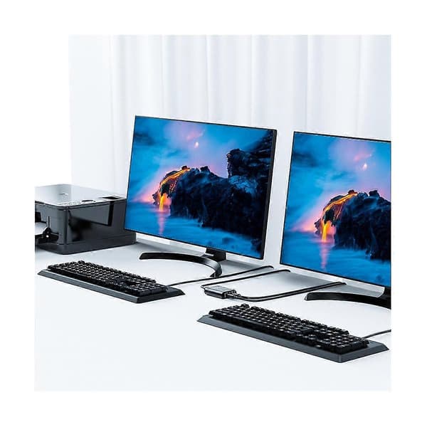2 Port Manuell USB HUB Två Datorer Delar U Disk Skrivare Enhet Två in En Ut USB2.0 Delare Tw