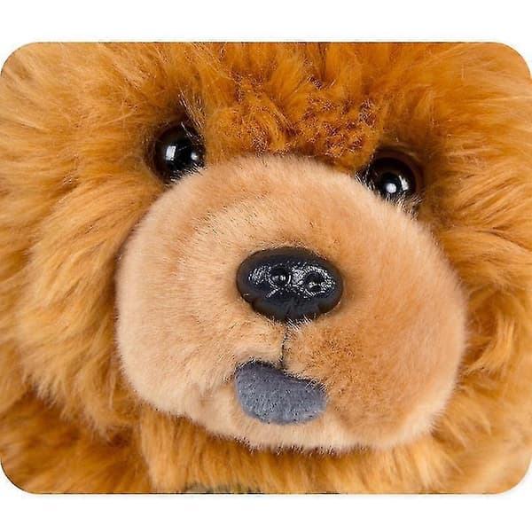 Aurora 25cm Chow Chow -simulaatio Söpö Pehmolelu