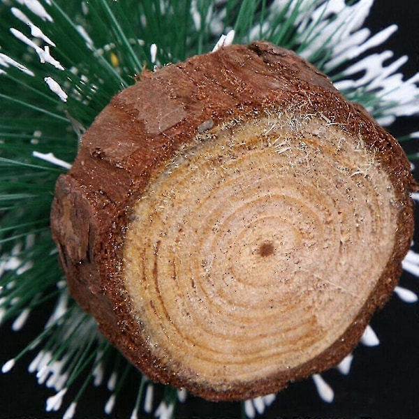 Mini Cederträ Julgran Med LED-lampor Fest Litet Tallträd Hem Juldekor Gåva Warm Light