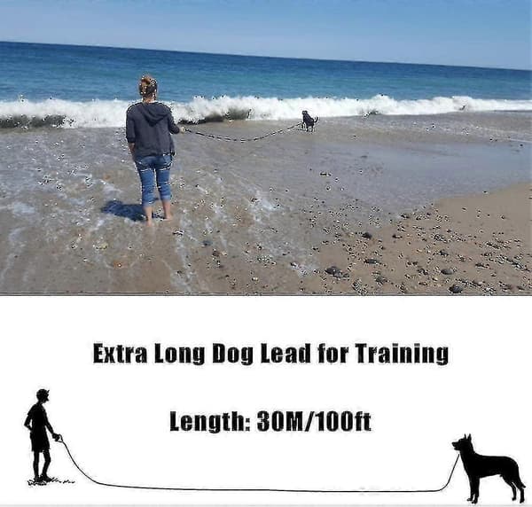 Koira 30m Koira Ne Koira 30m Koira