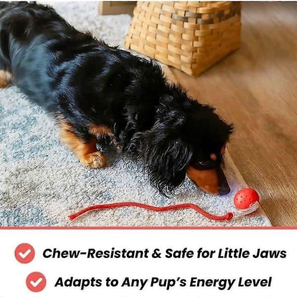 Lille Fetch Hundelegetøj, Tinyfetch Interaktive Hunde- og Kattelegetøjsbolde, Hurtigt Bevægende Bold Blue