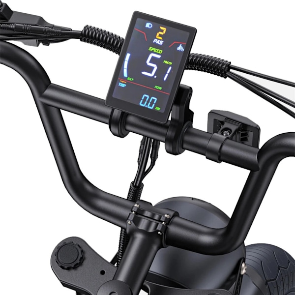 ENGWE M1 Elektrisk Fatbike - Enkelt Batteri - 20 Tommer - 250W Motor - 7 Gear - 90 km Rækkevidde - Hydrauliske Skivebremser - Black
