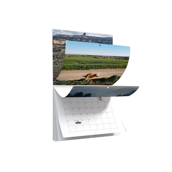 2023 Kalender Hund Bajsar Väggkalender Hundar Kalender