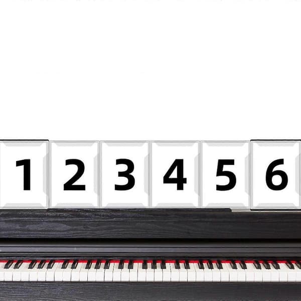 Musikmappe til instrumentudøvere, studerende og kontoransatte