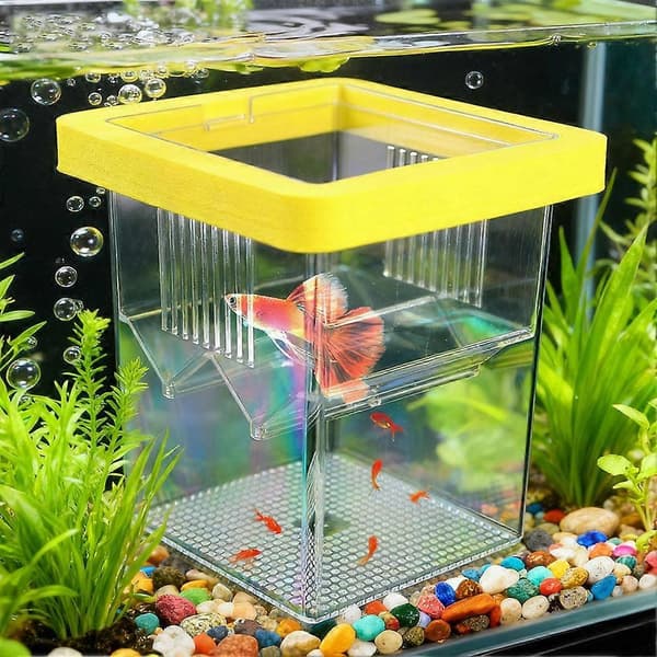 Akvarium Inkubator Flydende Isolationsboks Til Yngel yellow
