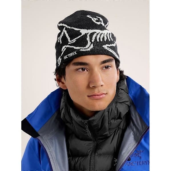 Arcteryx Bird Head Toque til voksne / Orca / ONE,su