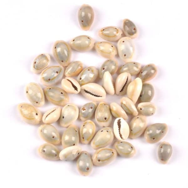 200st Dubbla Hål Pärlor Cowrie Shell Beads Seashell Beads