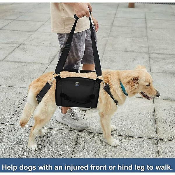 Hundesele, Støtte & Genoptræning (XL, Sort)