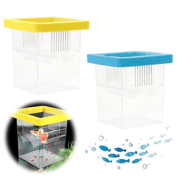 Akvarium Inkubator Flytende Isolasjonsboks For Yngel yellow