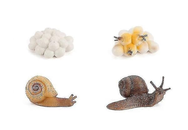 Snegle Miniature Figurer Model, Væsner Legetøjsfigursæt