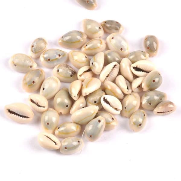 200st Dubbla Hål Pärlor Cowrie Shell Beads Seashell Beads