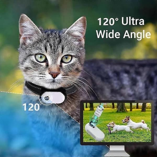 Catcam Pro, Kattekamera Pro 2.0, HD 1080p videokamera mini halsbåndskamera sort