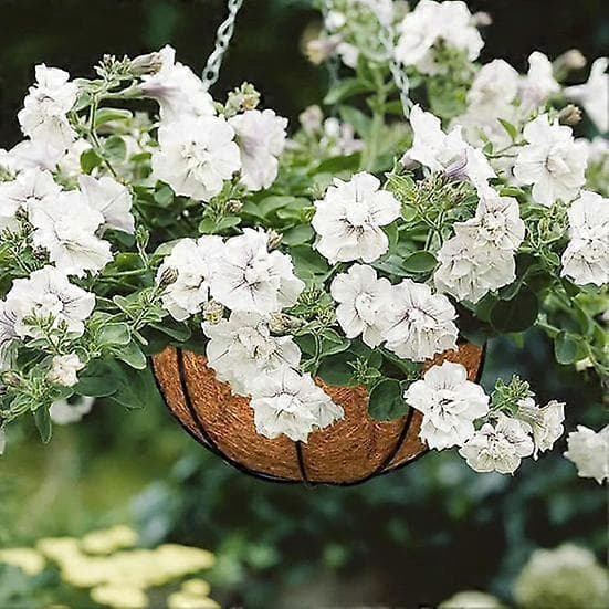 4 st tjocka hängkorgar kokosnöt miljövänlig blomma rund form utomhusfoder kruka naturlig kokos