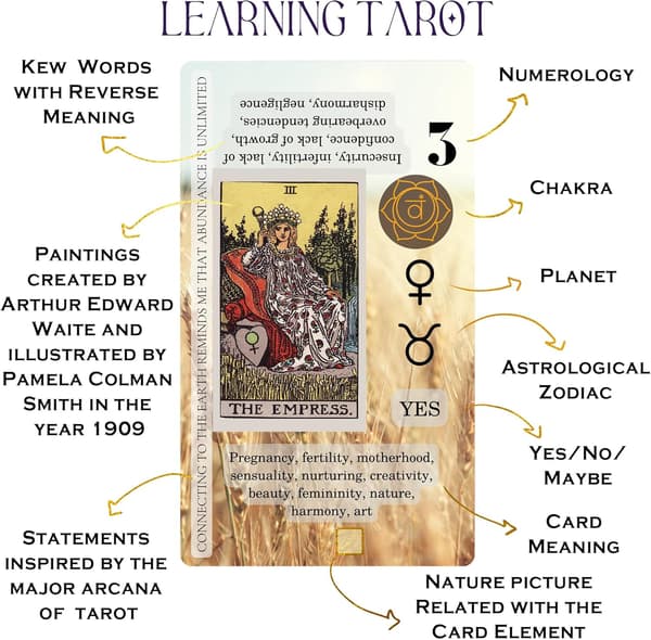 Learn Tarot Cards with Meanings on Them, for Beginners, Training Deck