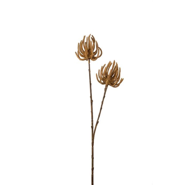 Succulent 70cm Beige, Konstgjorda Blommor - Mr. Plant Beige