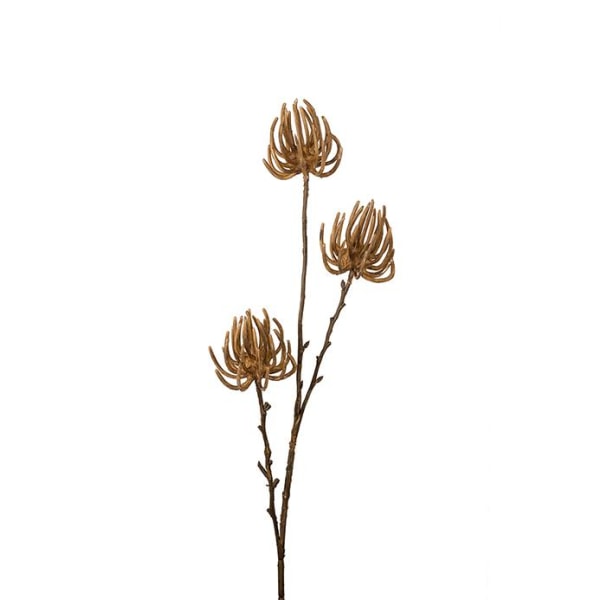 Succulent 75cm Beige, Konstgjorda Blommor - Mr. Plant Beige