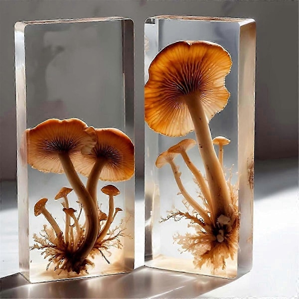 Stort rektangulært epoxy støbe silikone resin forme sæt (5 stk) med træstøtte til DIY dekoration