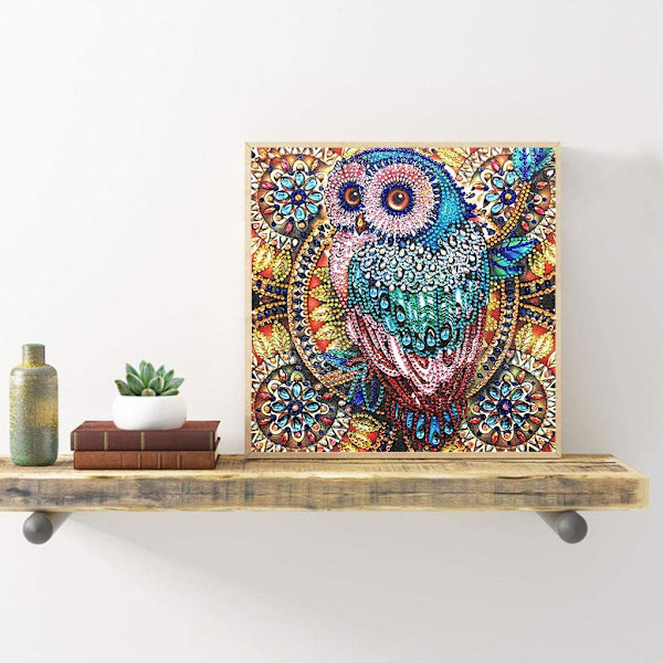 5D timanttimaalaus pöllö muotoinen timantti 30*30cm, erikoiskristalli