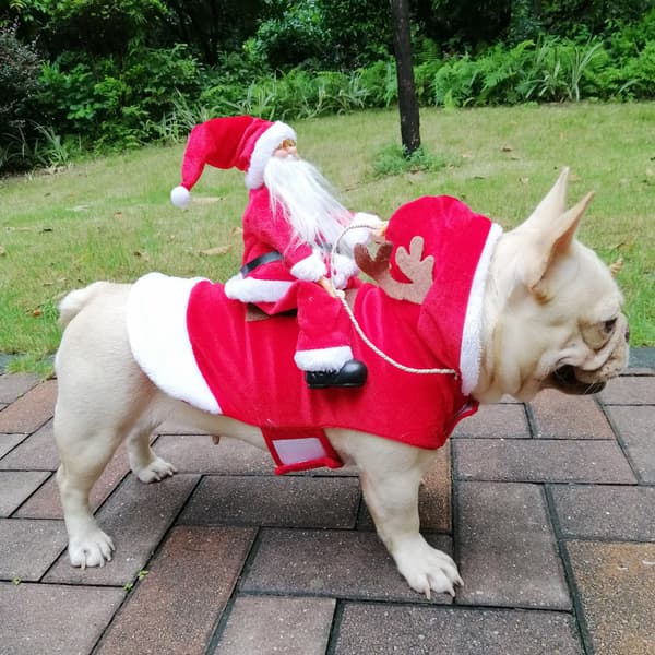 *Julemandens hundekappe Julemandskostume til hunde, julekostumer til kæledyr*