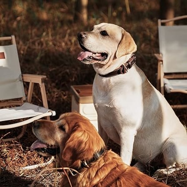 (L: 1,2" bred til 17"-23" hals, dobbelt søm - brun) Hundehalsbånd,