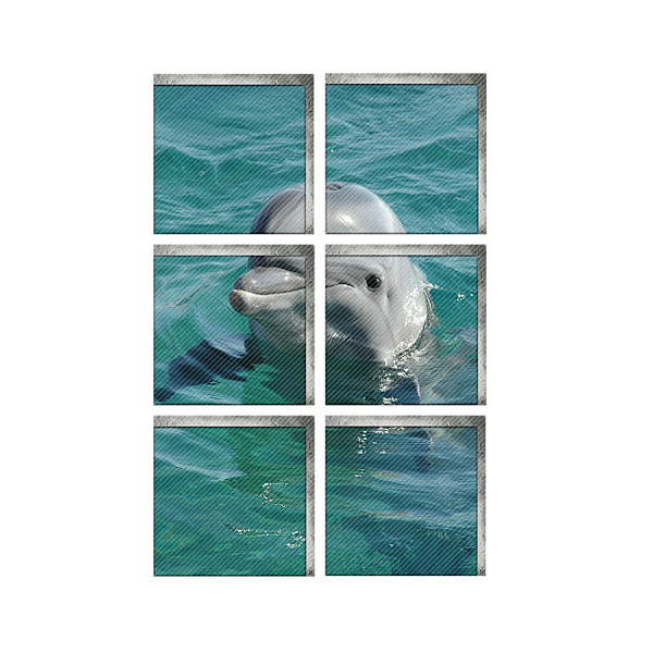 #Delfin badekar vandtæt og slidstærk klistermærke#