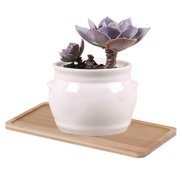 Bambu Blomkruka Bricka Te Kopp Mugg Mat Skål Klockor Organizer