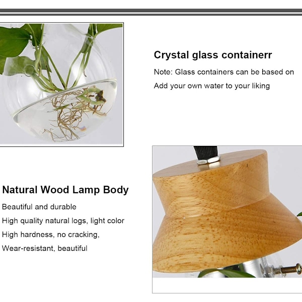 *Lysekrone Glas Akvarium Plante Akvarium Lysekrone Have Lille*
