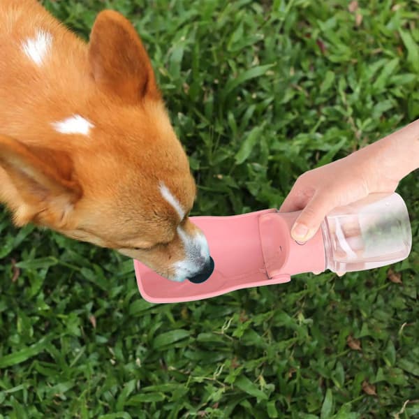 #Fällbar hundmatare 350ml drickflaska hundar för på språng#